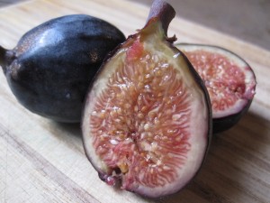 Fig